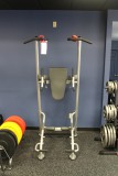 Hoist HF-5962 Турник Пресс Брусья