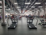 AeroFIT Run Pro Беговая дорожка